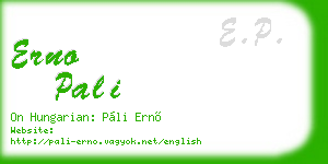 erno pali business card